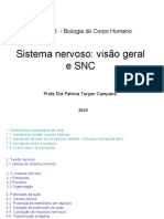 Sistema Nervoso