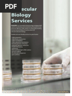 Download Evrogen Molecular Biology Services by triplegreenhand SN3962387 doc pdf