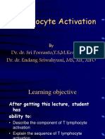 Lymphocyte Activation 25 Dan 27 Sep 2017