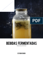 Bebidas+fermetadas