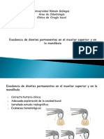 Exodoncia de Dientes Permanentes en El Maxilar Superior y en La Mandíbula