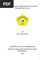 Download SENAM NIFAS PERAWATAN PAYUDARA PERAWATAN VULVA by ian SN39628183 doc pdf
