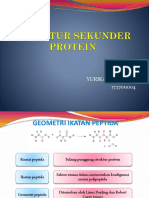 Struktur Sekunder Protein