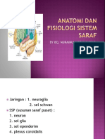 Anatomi Dan Fisiologi Sistem Saraf