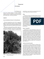 Syzygiumjambos PDF