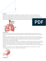 ORGANOS Y EMOCIONES.docx