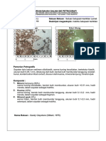 LP 53 Matriks Batupasir Kerikilan PDF