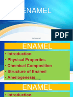 Enamel Microstructure