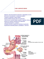 Bioquimica