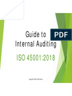 45.18 Guide IA Auditing PPT Sample