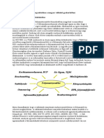 Folyamatmenedzsment_kvalikon.pdf