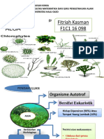 Metabolisme Alga Hijau (Fitriah Kasman f1c116098)