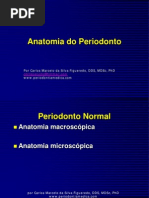 Aula1Anatomia