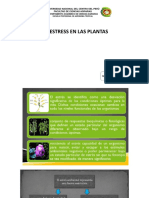 Presentación-10-Fisiología vegetal.pptx