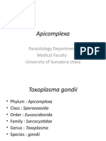 Apicomplexa: Parasitology Department Medical Faculty University of Sumatera Utara
