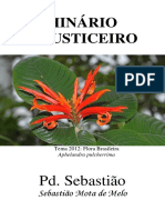 Padrinho Sebastiao - O Justiceiro e Nova Jerusalem - Grafica.pdf