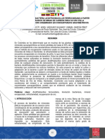 Grupo 3. Lixiviación bacteriana en drenaje ácidos de minas de carbón 19.nov.17.pdf
