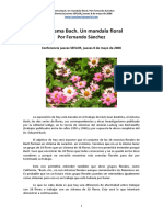 ConfeSEFLORElSistemaBach08052008.pdf