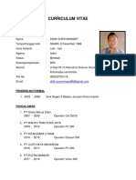 Curriculum Vitae