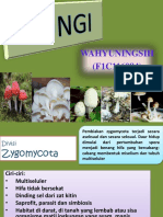 WAHYUNINGSIH (F1C116084) METABOLISME FUNGI.pptxw