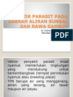 Vektor Parasit Pada Daerah Aliran Sungai Dan