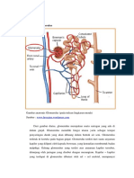 Fungsi Filtrasi Dan Fungsi Tubulus (Revisi)