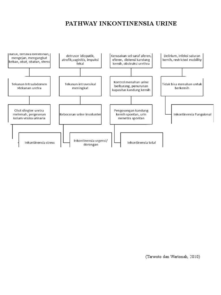 Pathway Inkontinensia Urine | PDF