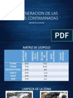 PASOS PARA UNA MATRIZ DE LEOPOLD EN ICA