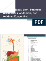 Anatomi Hepar Lien Pankreas Vaskularisasi Abdomen Dan Kelainan Kongenital DR Mardeni