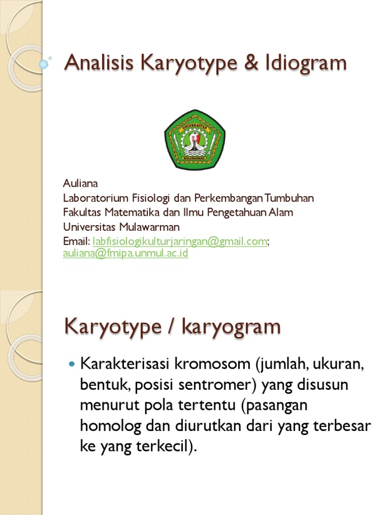 Analisis Karyotype & Idiogram | PDF