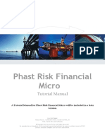 Phast Risk Financial Micro: Tutorial Manual