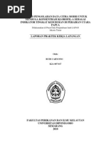 Download Proses Pengolahan Citra Modis Untuk Analisa Klorofil-A Di Perairan Utara Papua by Budi Cahyono SPi SN39640048 doc pdf