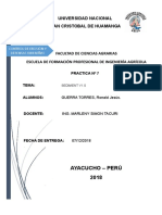 Informe Sediment