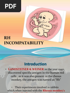 Rh Incompatability Final Animal Anatomy Hematology