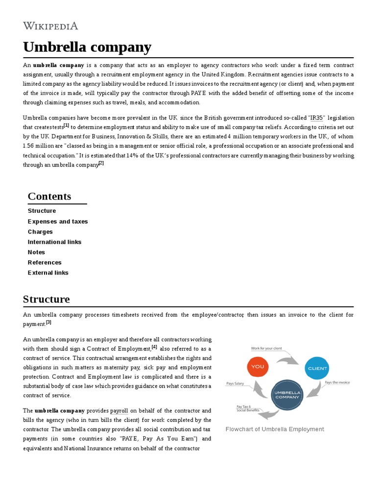 Umbrella Company Structure Expenses and Taxes Charges International