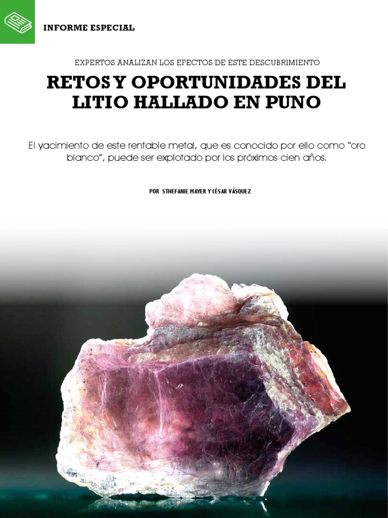 Informe Especial PDF | PDF | Minería | Litio