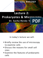 Lecture 2 - Microscopy and Prokaryotes 2018