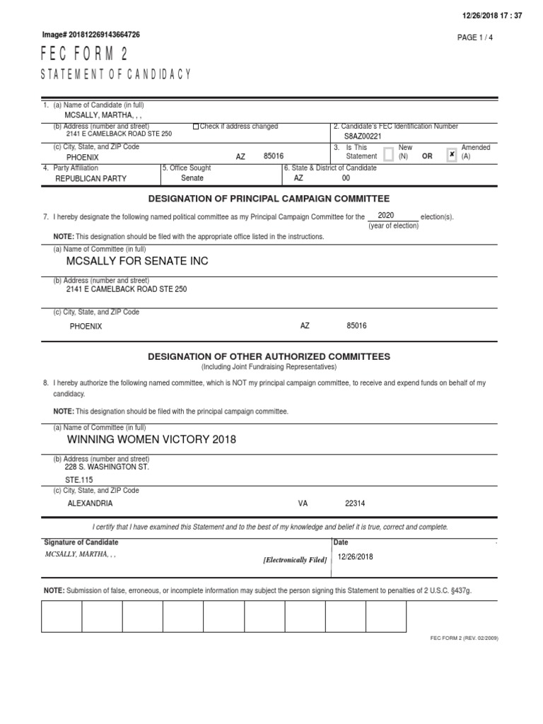 McSally Statement of Candidacy, for Senate Special Election in 2020 | The United States ...