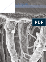 Adhesive Resin Cements For Bonding Esthetic Restorations - A Review PDF