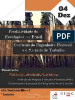 Produtividade Do No Brasil