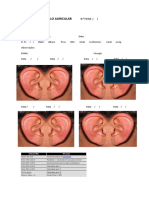 Ficha de Atendimento Auricular 