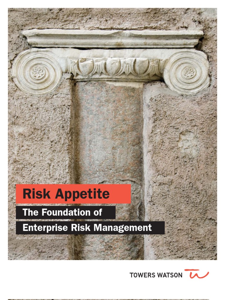 ERM Risk Appetite | PDF | Risk | Risk Management