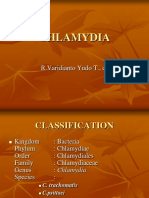 Chlamydia 