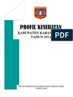 Bali Kab - Karangasem Profil 2015