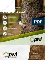 Brochure PWI