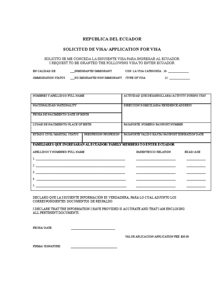 3 Visa Application Form | PDF