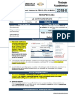 FTA-NEUROPSICOLOGIA-5C