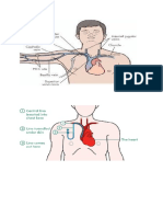 Doc3 Vena Sentral