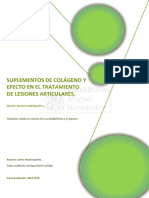 Colageno en lesiones articulares - C. Expósito.pdf