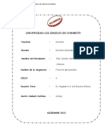 Derecho Individual Del Trabajo Ultimo